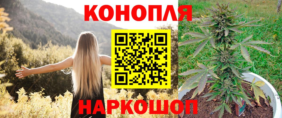 Бошки марихуана MAZAR Прокопьевск